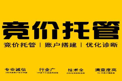 案例分享：SEM优化师如何提升广告转化率